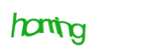 Изображение CAPTCHA