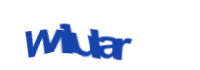 Изображение CAPTCHA